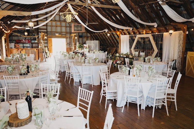 The Barn In Tottenham