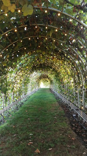LuLu Island Winery