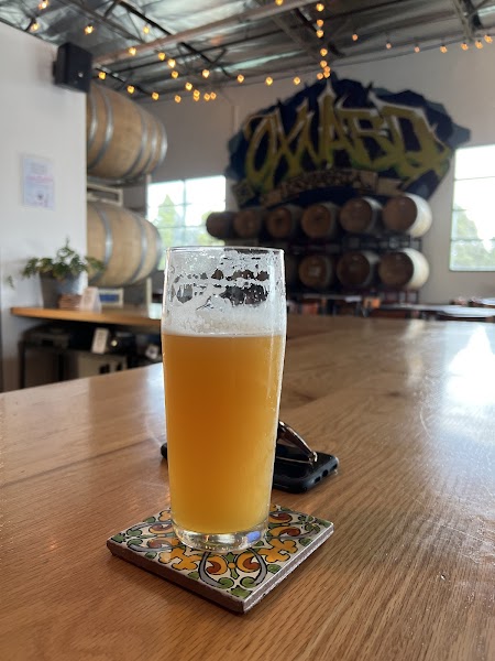 Casa Agria Specialty Ales