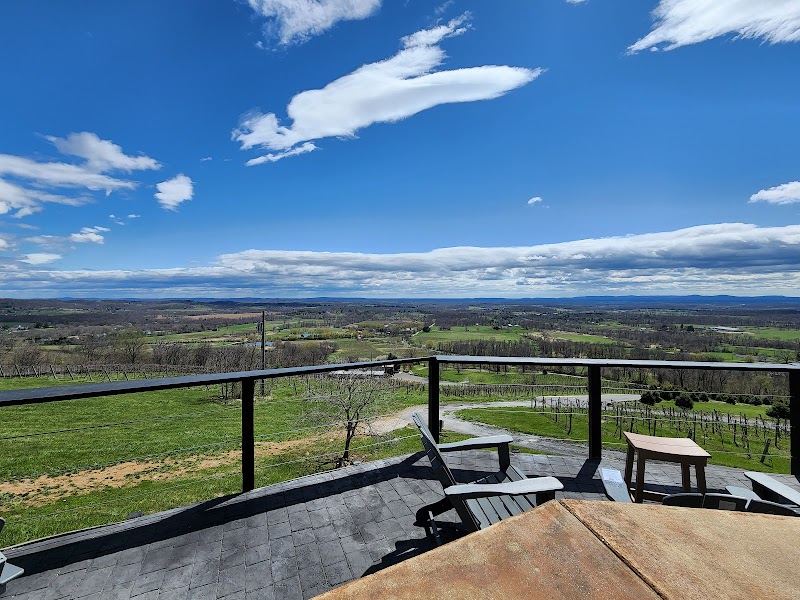 Bluemont Vineyard