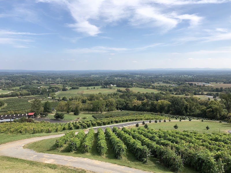 Bluemont Vineyard