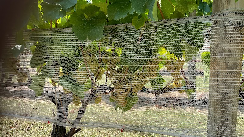 Two Twisted Posts Winery