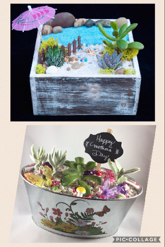 Donovan's Reef