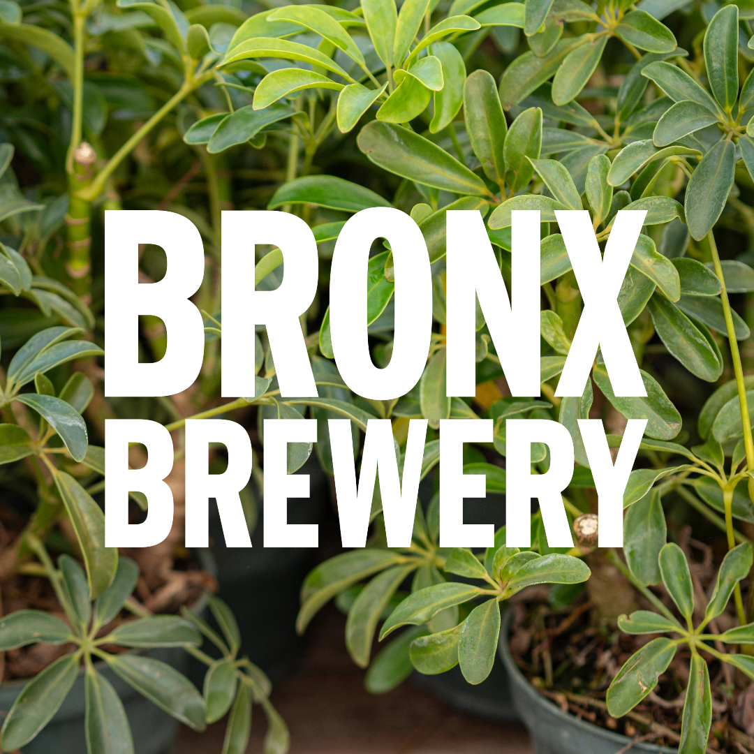 Dwarf Umbrella - The Bronx Brewery