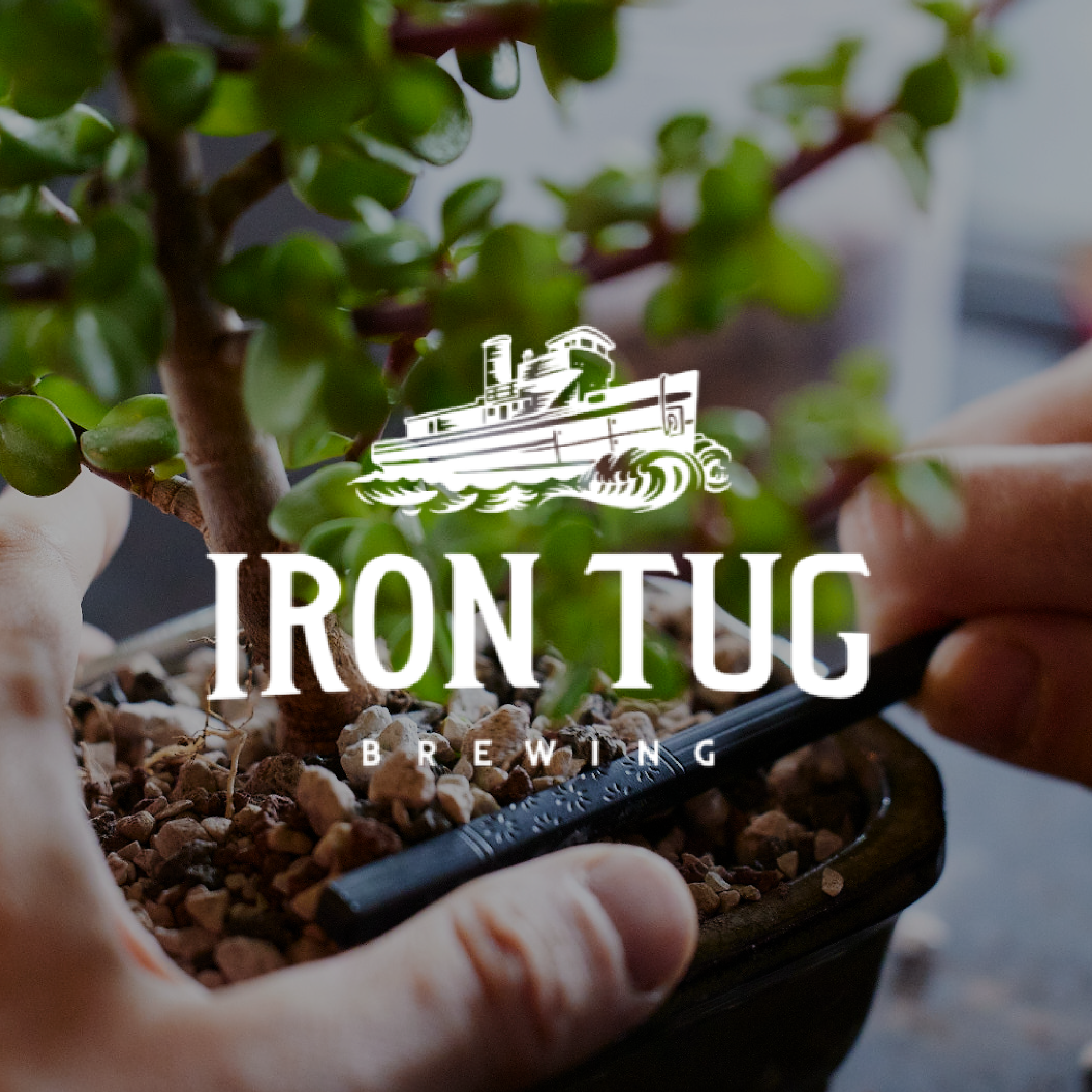 Dwarf Jade - Iron Tug Brewing