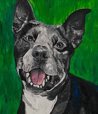 Leslie Shields , Port Richey, FL | Powered by Yaymaker