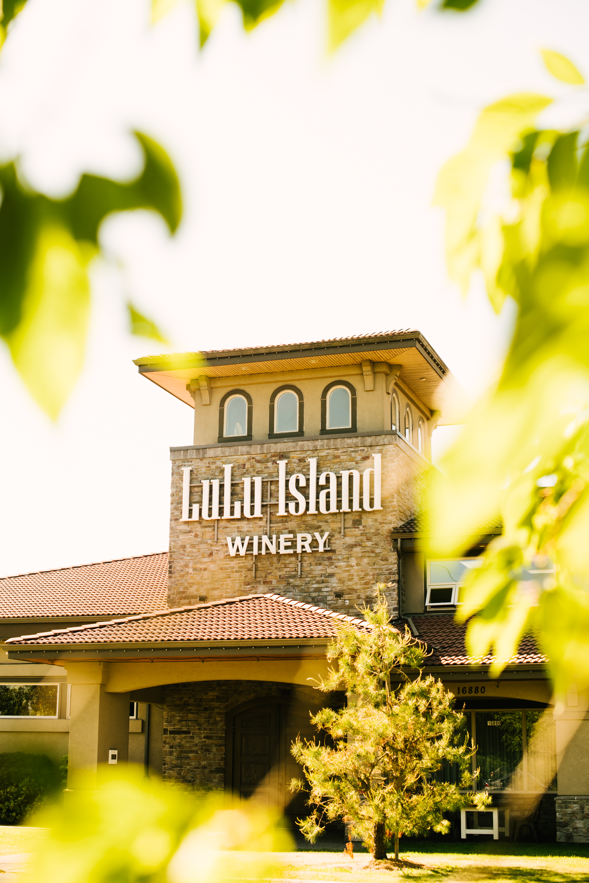 LuLu Island Winery