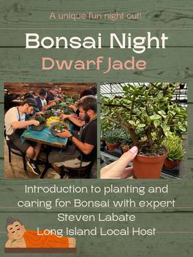 A Dwarf Jade Bonsai Nite  experience project by Yaymaker