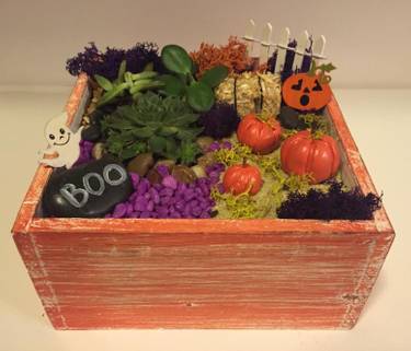 Pumpkin Patch Succulent Terrarium - Paint Nite event in Sacramento , CA