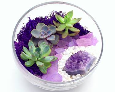 A Succulents in Slope Bowl with Amethyst Cluster plant nite project by Yaymaker