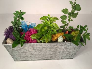 A Herb Garden in Tin Planter plant nite project by Yaymaker