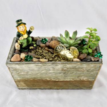 A St Patricks Day Wooden Terrarium plant nite project by Yaymaker