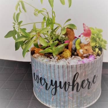 Bars Near Piccadilly Circus >> Piccadilly Circus Bar Tin Pot With Tropical Plants At Piccadilly Circus Pub Snohomish Wa Us Yaymaker Bars Near Piccadilly Circus >> Piccadilly Circus Bar Tin Pot With Tropical Plants At Piccadilly Circus Pub Snohomish Wa Us Yaymaker