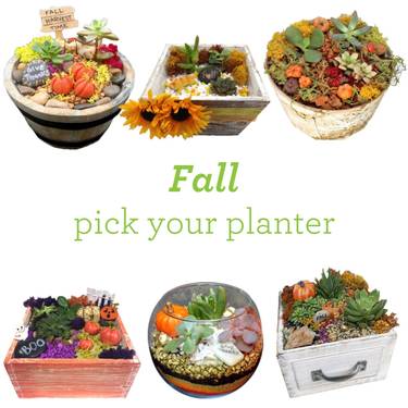 Fall Pick Your Planter - Paint Nite event in Pittsburgh, PA
