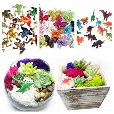 A Kids and Parents Choose One plant nite project by Yaymaker