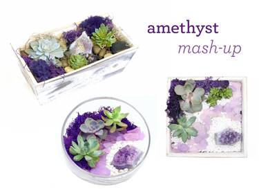 Amethyst Planter Mash-Up Succulent Terrarium - Paint and sip event at Lilys Babylon in BABYLON, NY - PaintNite.com