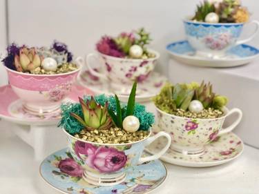 Terrarium Teacup Party- choose two tea cups - Paint Nite event in Costa mesa , CA