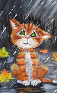 On Demand: Cute Cat under the rain with Ghazaleh Naderian