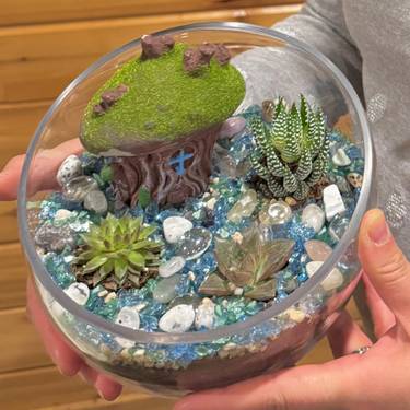 A Plantnite mini terrariums  experience project by Yaymaker