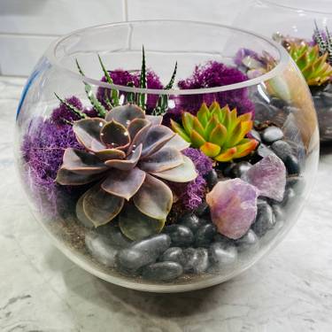 A Rose Bowl Amethyst Succulent Garden  experience project by Yaymaker