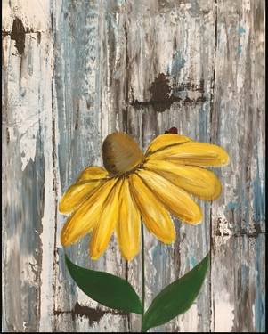 A Sunshine Daisy experience project by Yaymaker