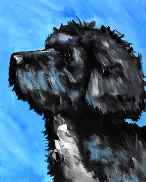 A Cockapoo Puppy Dog experience project by Yaymaker