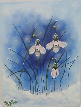 A Snowy Snowdrops experience project by Yaymaker