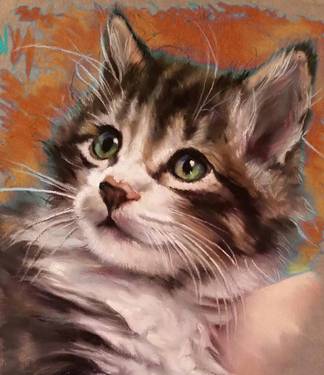 On Demand: Cute Kitten with Ghazaleh Naderian