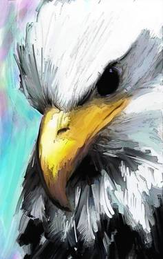 On Demand: Eagle with Ghazaleh Naderian
