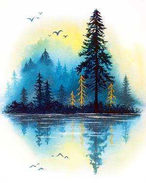 A Forest Splendor experience project by Yaymaker