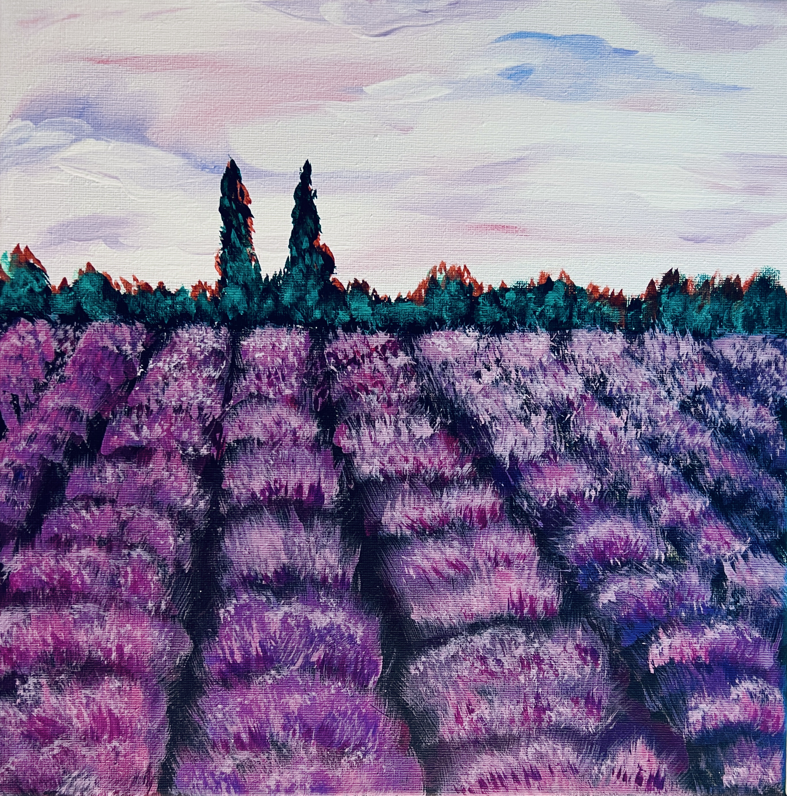 A Lavender Fields of Provence experience project by Yaymaker