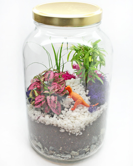 A Tropical Terrarium in Glass Jar plant nite project by Yaymaker