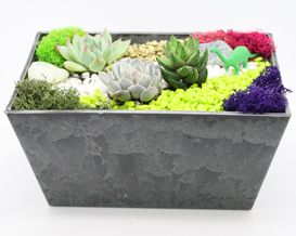 A Succulent Terrarium in PolyPro Marble Rectangle Planter plant nite project by Yaymaker