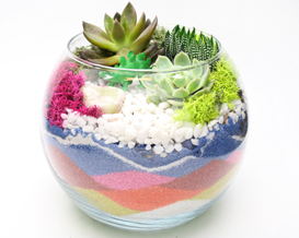 A Succulent Terrarium in Rose Bowl  Sand Art plant nite project by Yaymaker