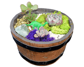 A Succulent Terrarium in Brown 6 Barrel Planter plant nite project by Yaymaker