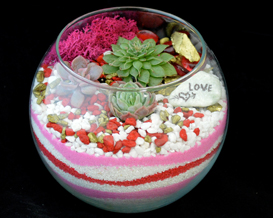 A Succulent Terrarium in Rose Bowl  Valentines Day Sand Art plant nite project by Yaymaker