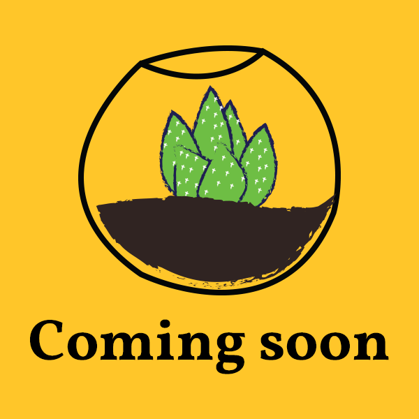 A Coming Soon plant nite project by Yaymaker