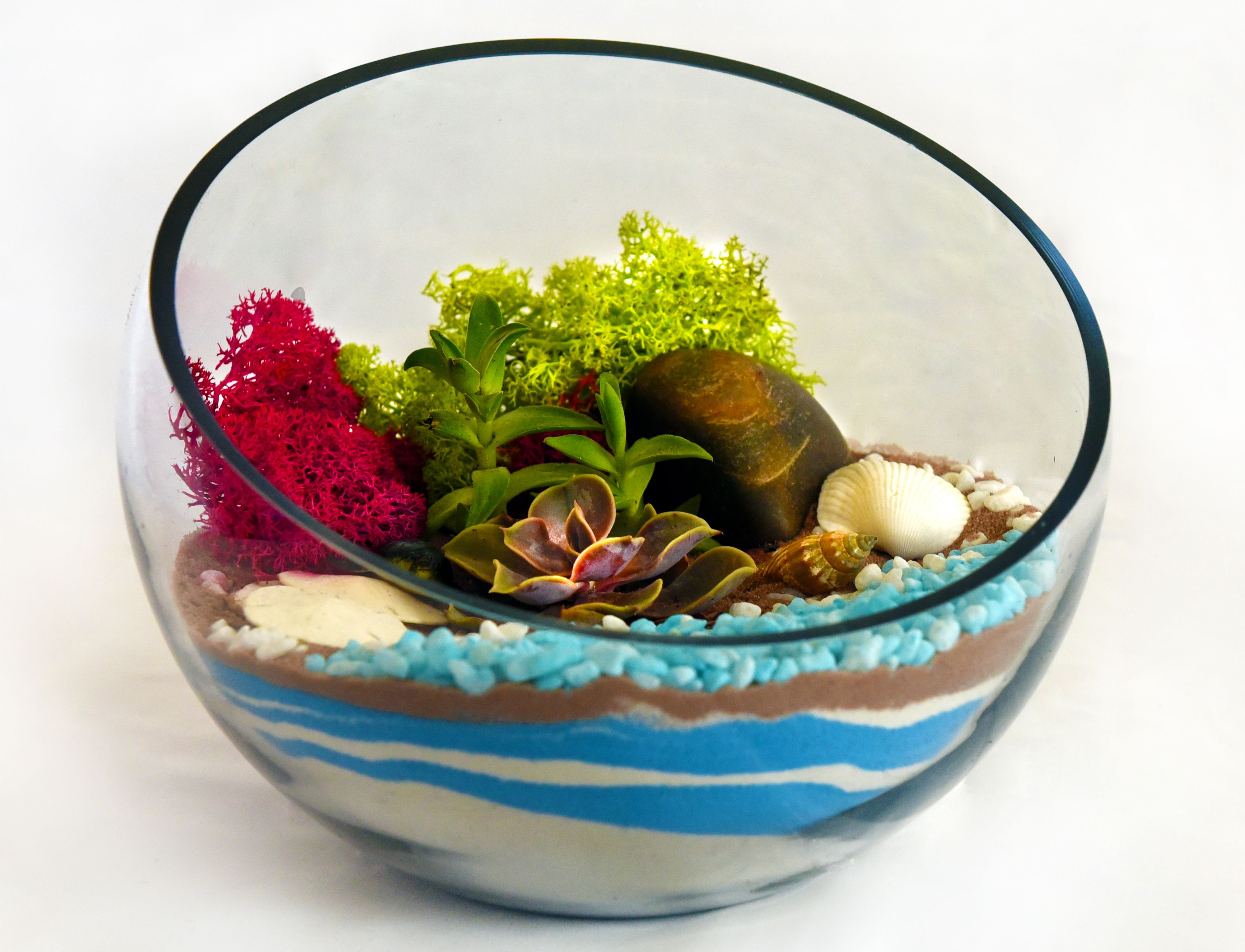 A Succulents in Sloped Bowl plant nite project by Yaymaker