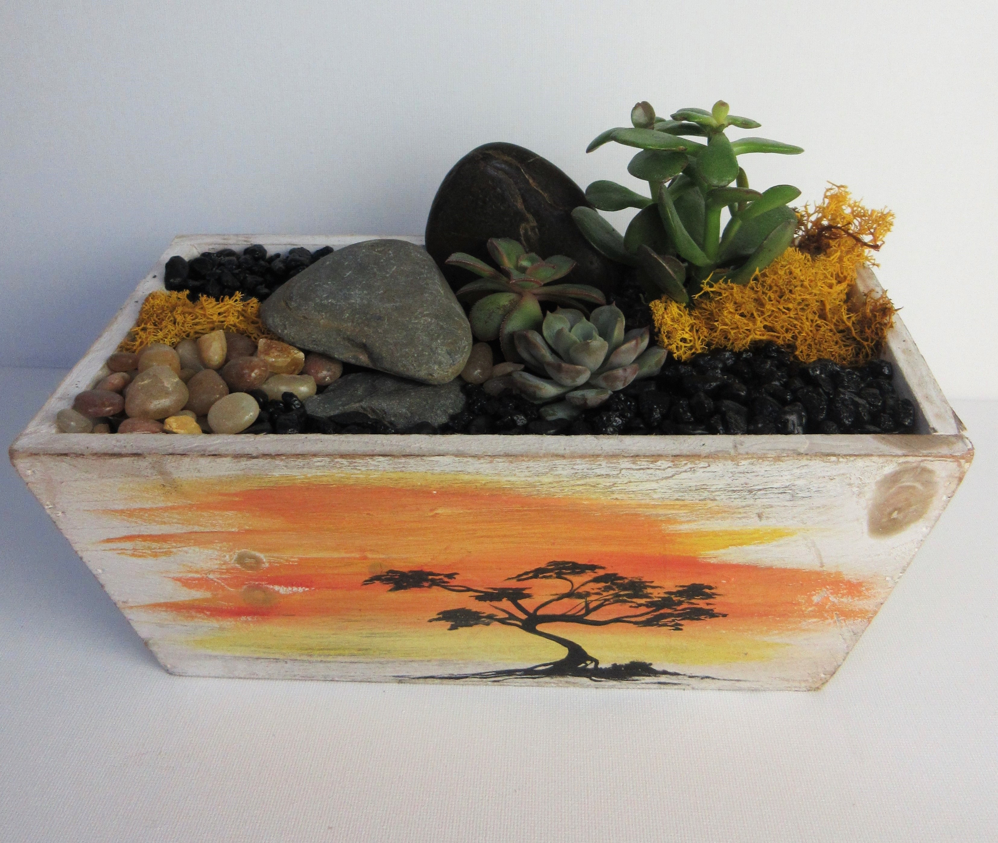 A Paint Your Own Succulent Terrarium in Rectangular White Wood plant nite project by Yaymaker