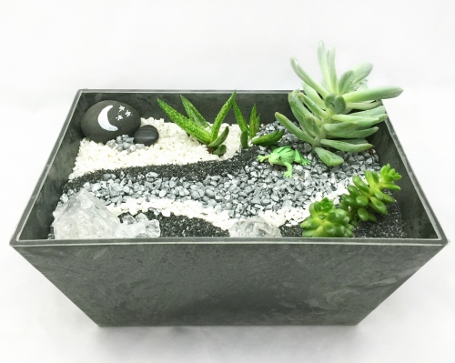 A Succulent Terrarium Modern Grayscale Polypro plant nite project by Yaymaker