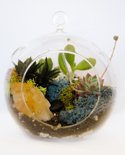 A Succulent Terrarium with Citrine Gemstone in Hanging Globe plant nite project by Yaymaker