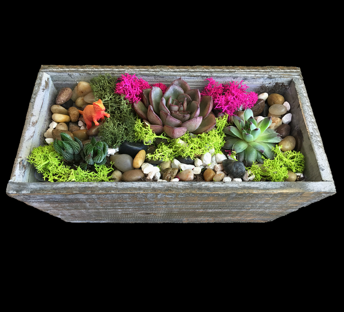 A Succulent Terrarium in Light Distressed Wood Rectangular plant nite project by Yaymaker