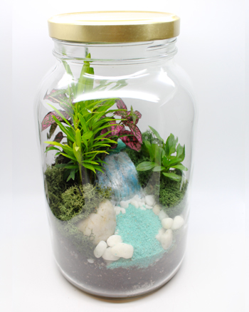 A Tropical Foliage Terrarium in a Jar  Waterfall Paradise plant nite project by Yaymaker