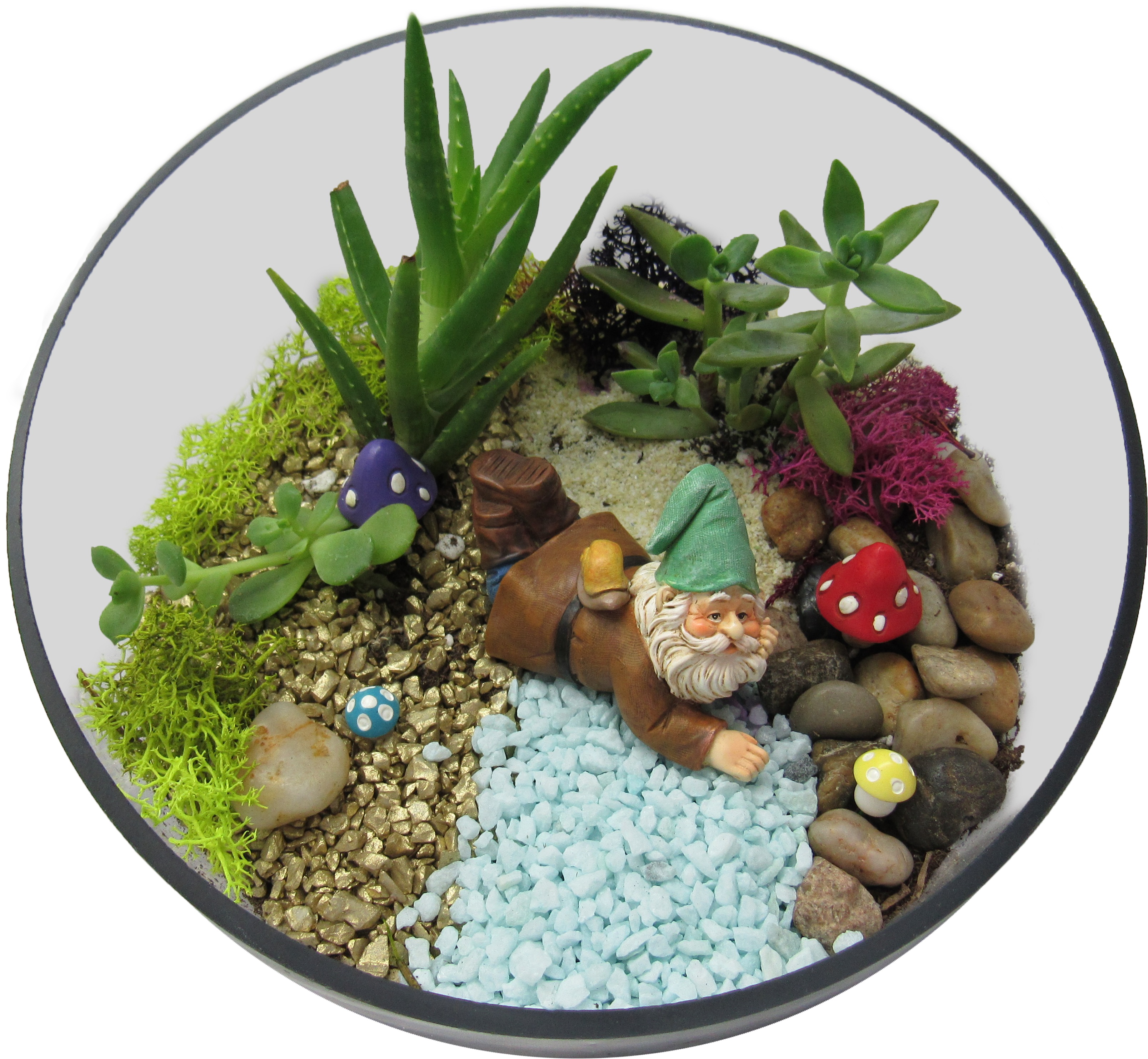 A Succulent Gnome Mushroom Terrarium plant nite project by Yaymaker