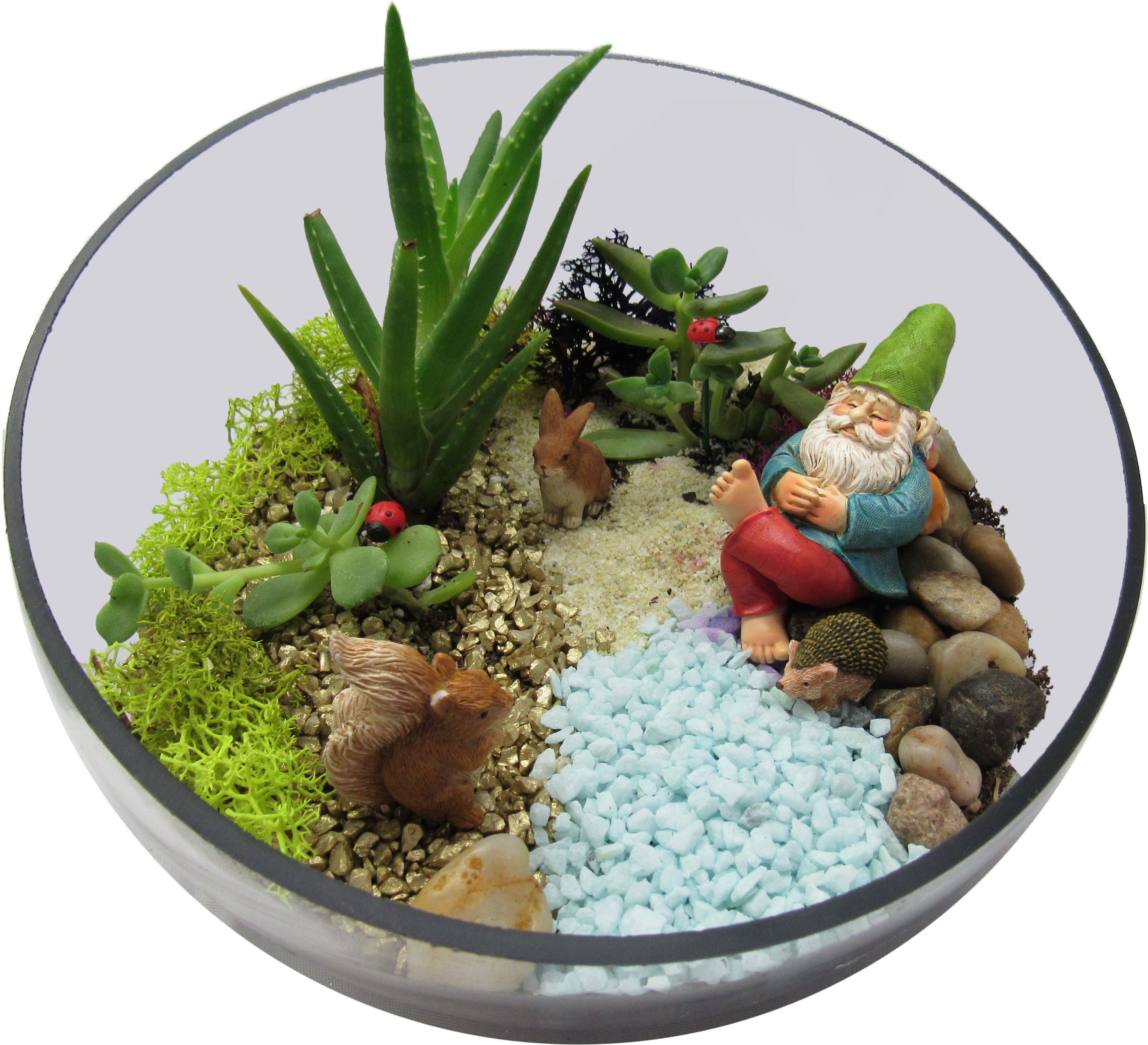 A Succulent Gnomes Friends Terrarium plant nite project by Yaymaker