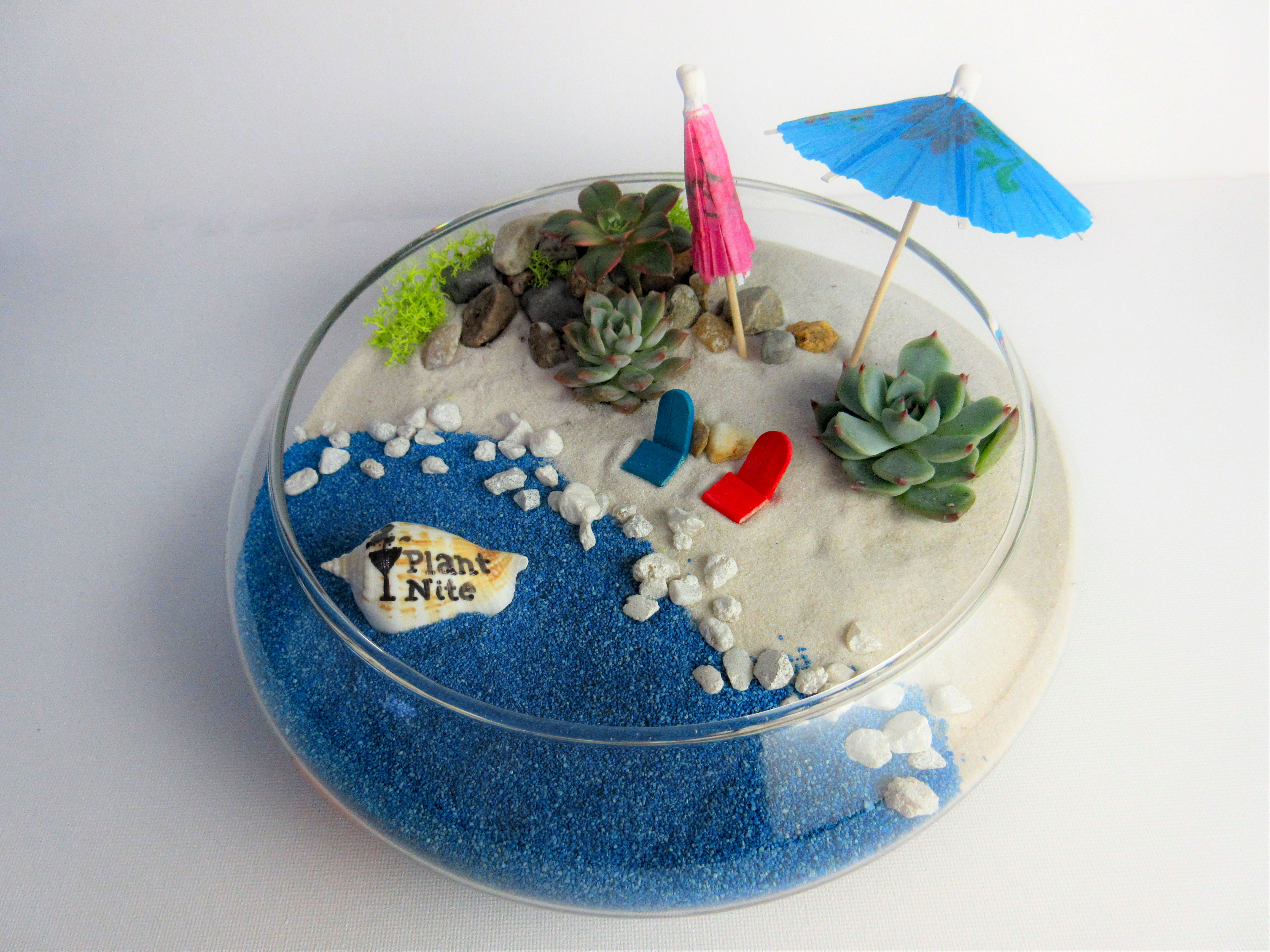 A Succulent Terrarium in Lily Bowl  Life is a Beach plant nite project by Yaymaker