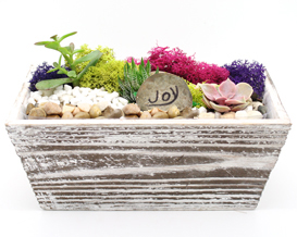 A Distressed Wood Succulent Planter Terrarium with Wish Rock plant nite project by Yaymaker