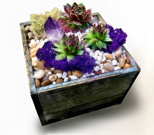A Distressed Square Wood Succulent Planter Terrarium with Amethyst Crystal plant nite project by Yaymaker
