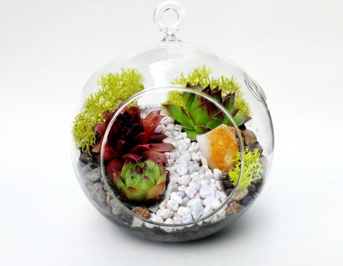 A Hanging Glass Globe Succulent Terrarium with White Rock Path and Citrine Crystal plant nite project by Yaymaker
