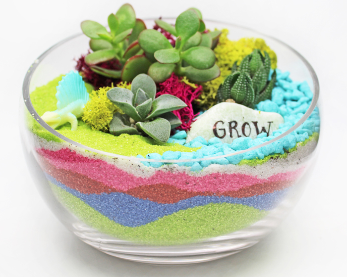 A Succulent Terrarium in 65quot Glass Slope Bowl  Sand Art plant nite project by Yaymaker